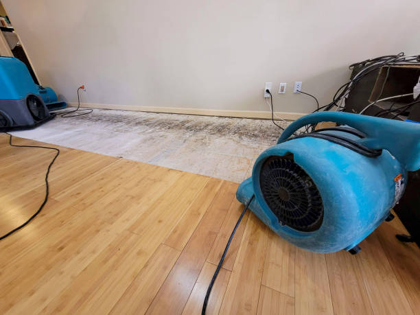 Reliable Crawl Space Water Removal contractor in Barrington, RI by Hirex Water Damage
