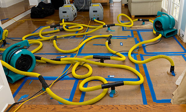 Professional Crawl Space Water Removal technician working in Barrington, RI